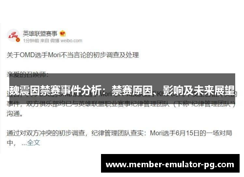 魏震因禁赛事件分析：禁赛原因、影响及未来展望
