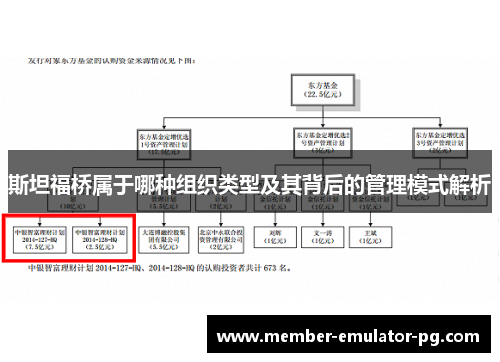 斯坦福桥属于哪种组织类型及其背后的管理模式解析