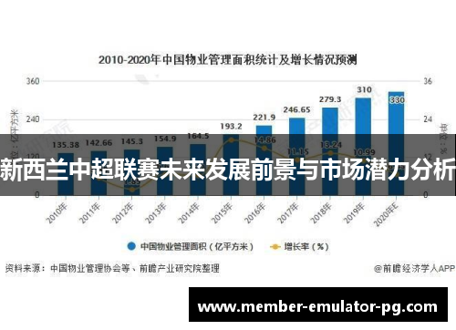 新西兰中超联赛未来发展前景与市场潜力分析